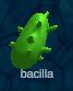 Bacillus  in game