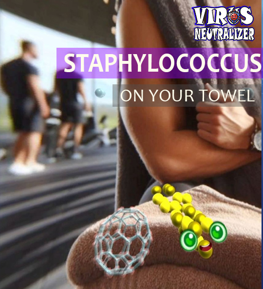 Staphylococcus: From Microscopic to Real-Life Challenges and Game Worlds