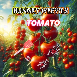 Tomatoes: Juicy Fruits and Protection from Weevil Pests