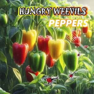 Pepper: a fiery vegetable and its protection from weevil pes...