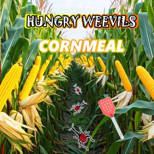 Corn Flour and Dried Corn: Uses and Weevil Protection