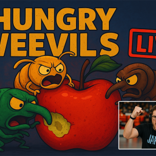 Hungry Weevils: Live Stream of the Game That Captured Player...