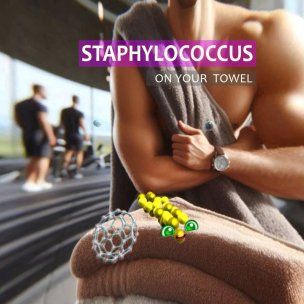 Staphylococcus: From Microscopic to Real-Life Challenges and...