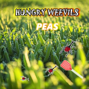 Peas: A Nutritious Legume and Weevil Pest Control